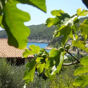  Apartment Ida Sveta Marina